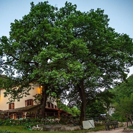 Agriturismo Le Due Querce Cerreto di Spoleto Luaran gambar