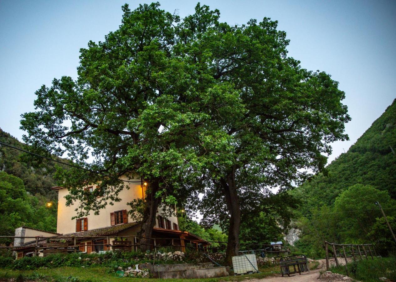 Agriturismo Le Due Querce Cerreto di Spoleto Luaran gambar